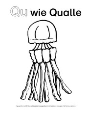 Qu-wie-Qualle-3.pdf